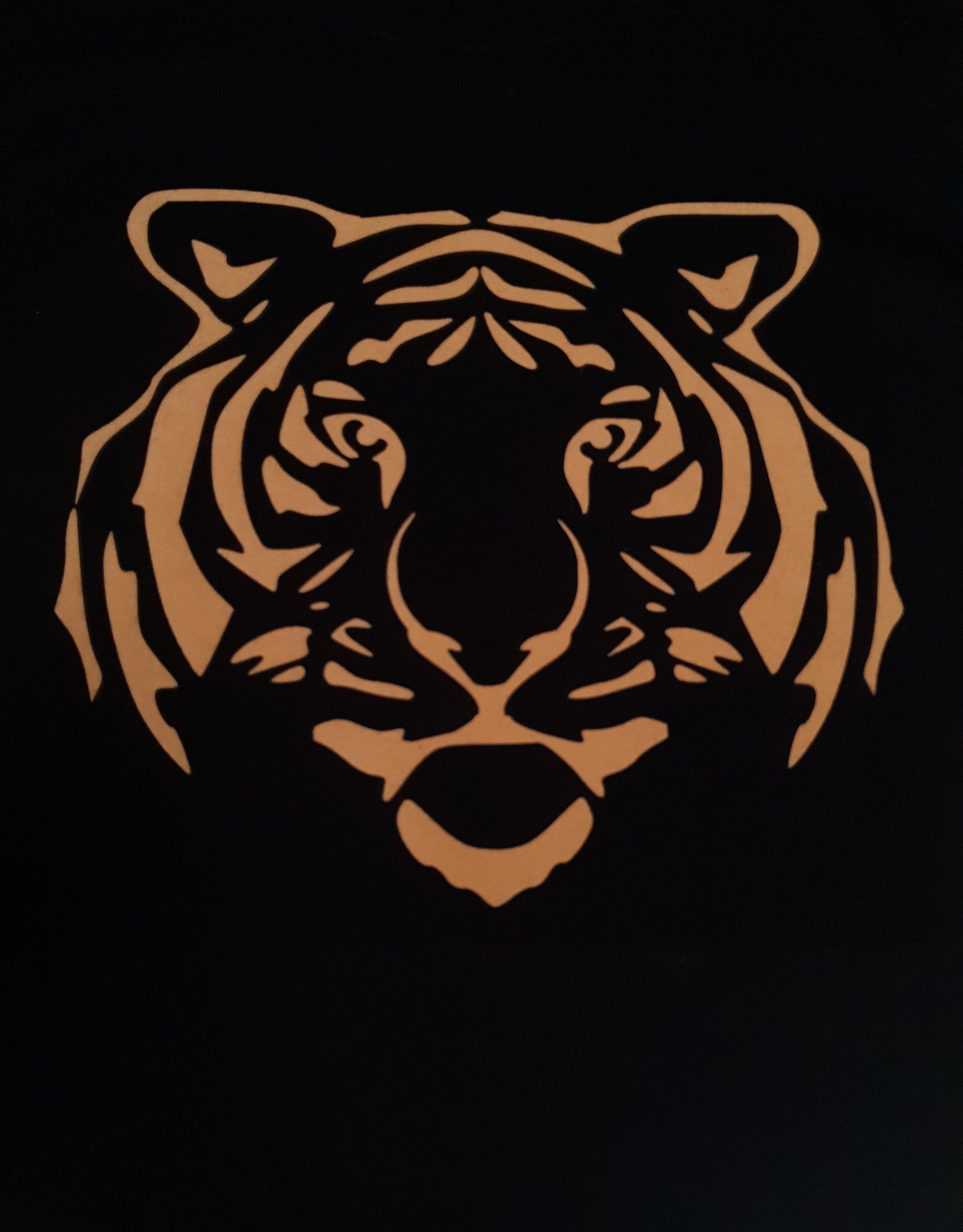 Tiger King Adult Sweatshirt