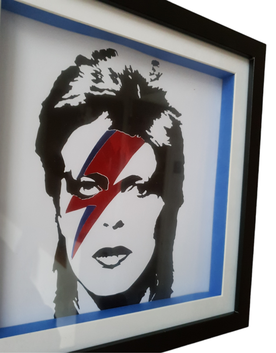 Ziggy - Framed